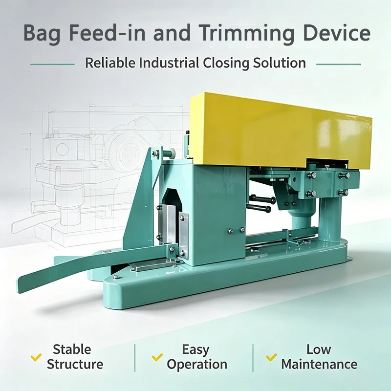 Bag infeed device Bag infeed device